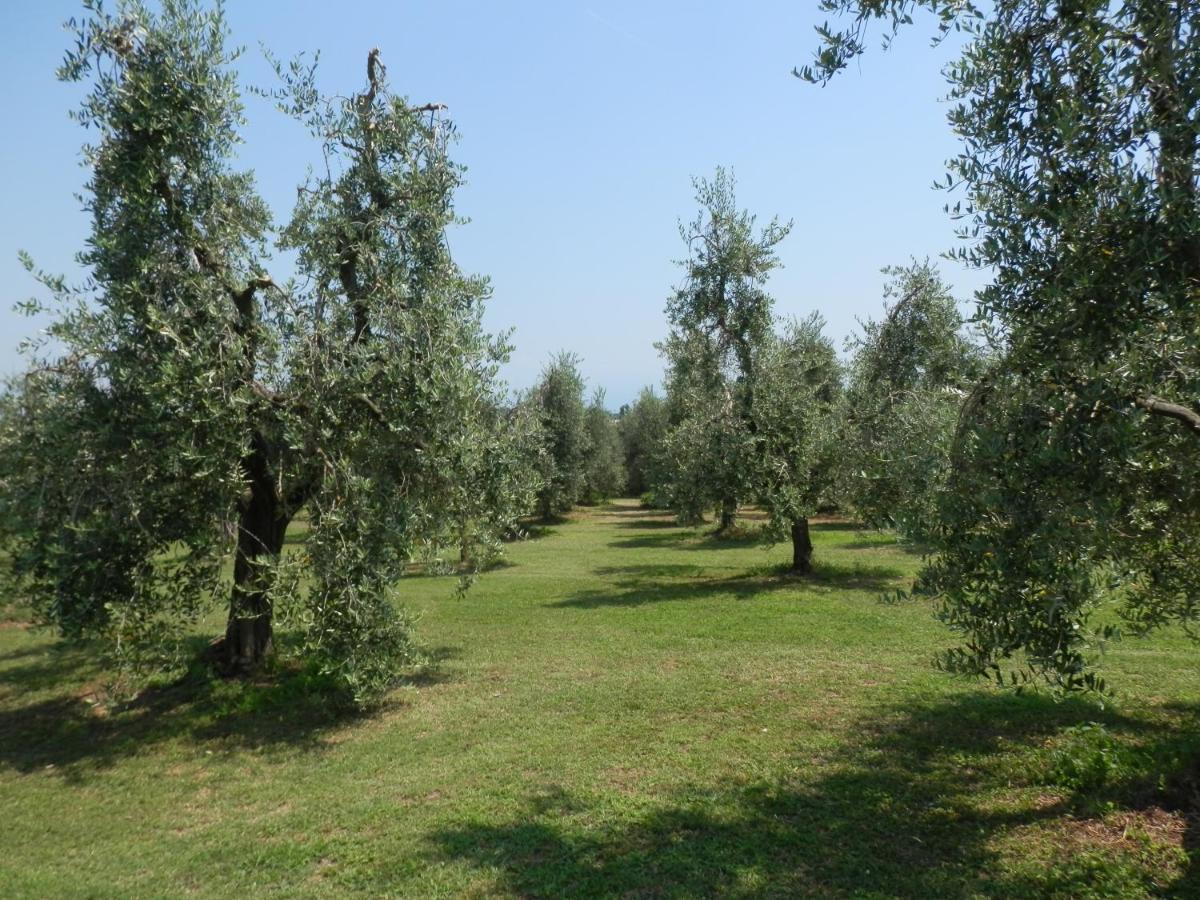 Agriturismo Fioralba Polpenazze del Garda Ngoại thất bức ảnh