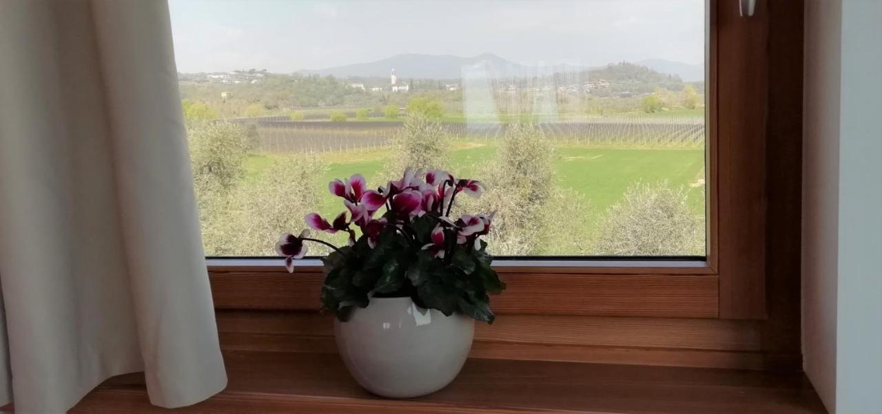 Agriturismo Fioralba Polpenazze del Garda Ngoại thất bức ảnh