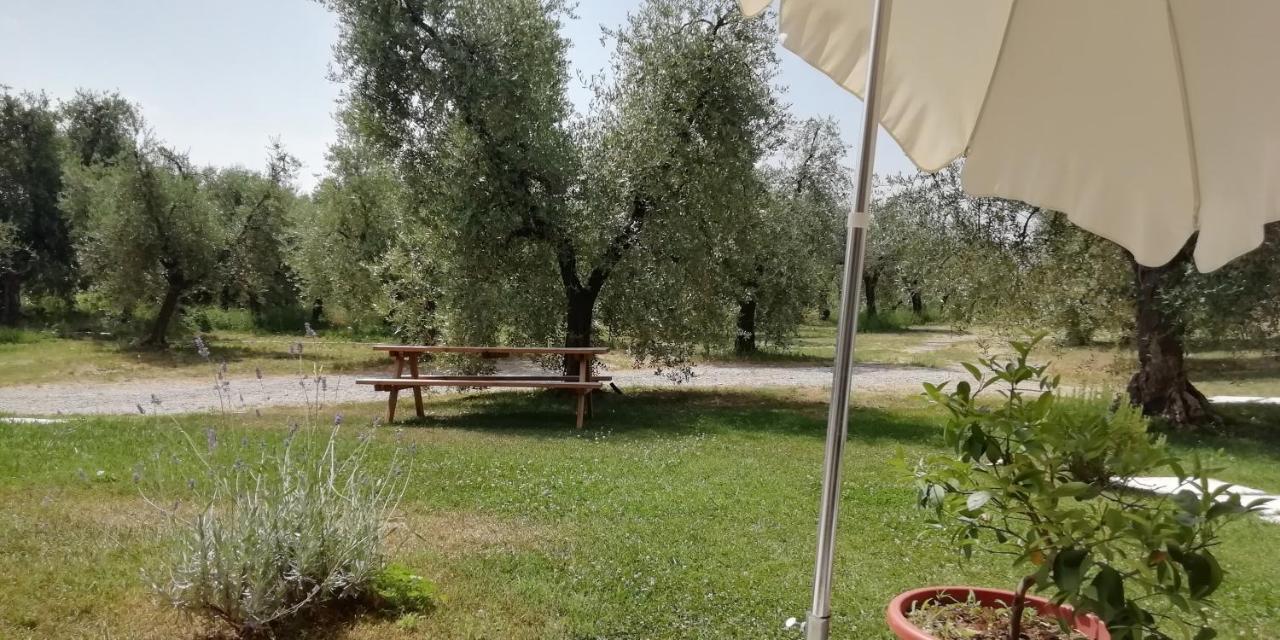 Agriturismo Fioralba Polpenazze del Garda Ngoại thất bức ảnh