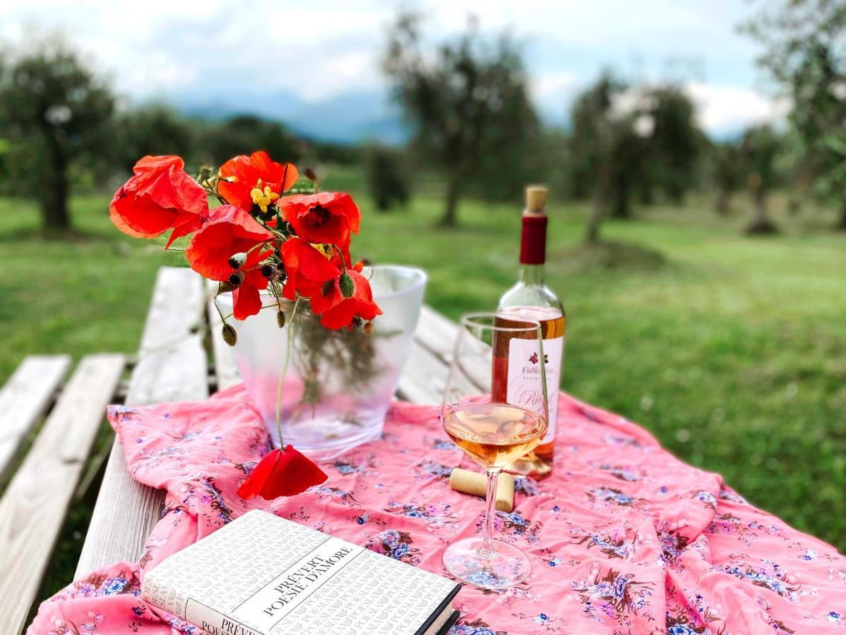 Agriturismo Fioralba Polpenazze del Garda Ngoại thất bức ảnh