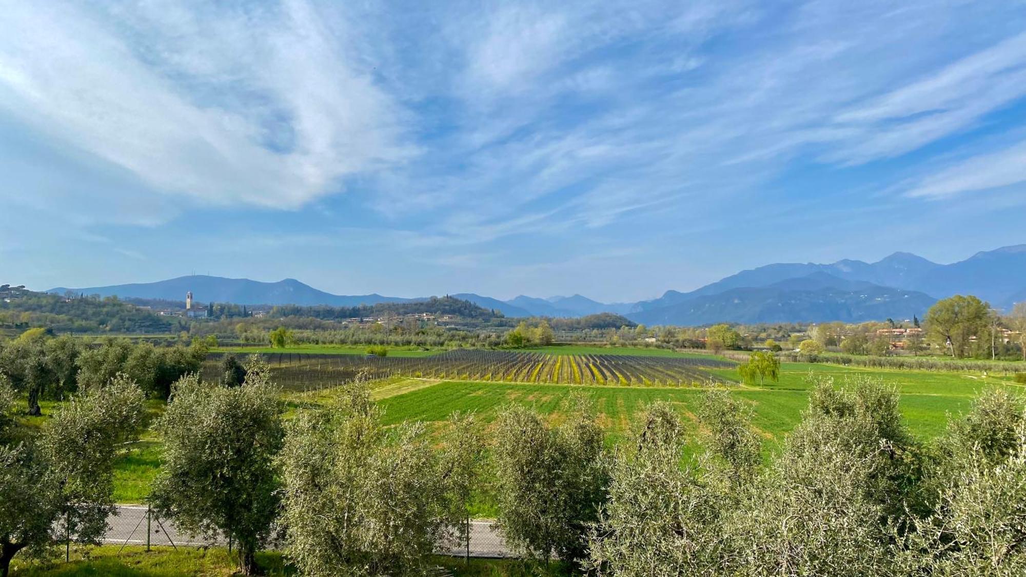 Agriturismo Fioralba Polpenazze del Garda Ngoại thất bức ảnh
