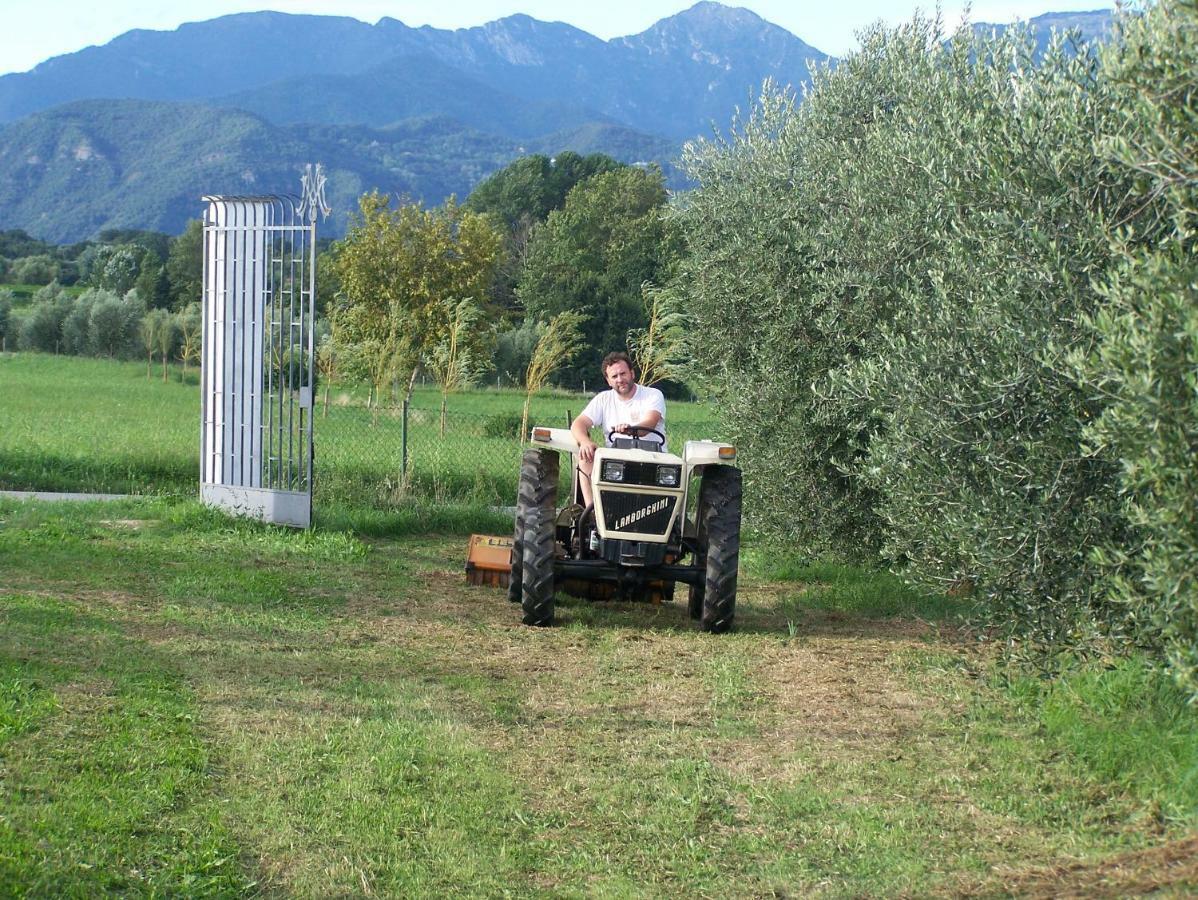 Agriturismo Fioralba Polpenazze del Garda Ngoại thất bức ảnh