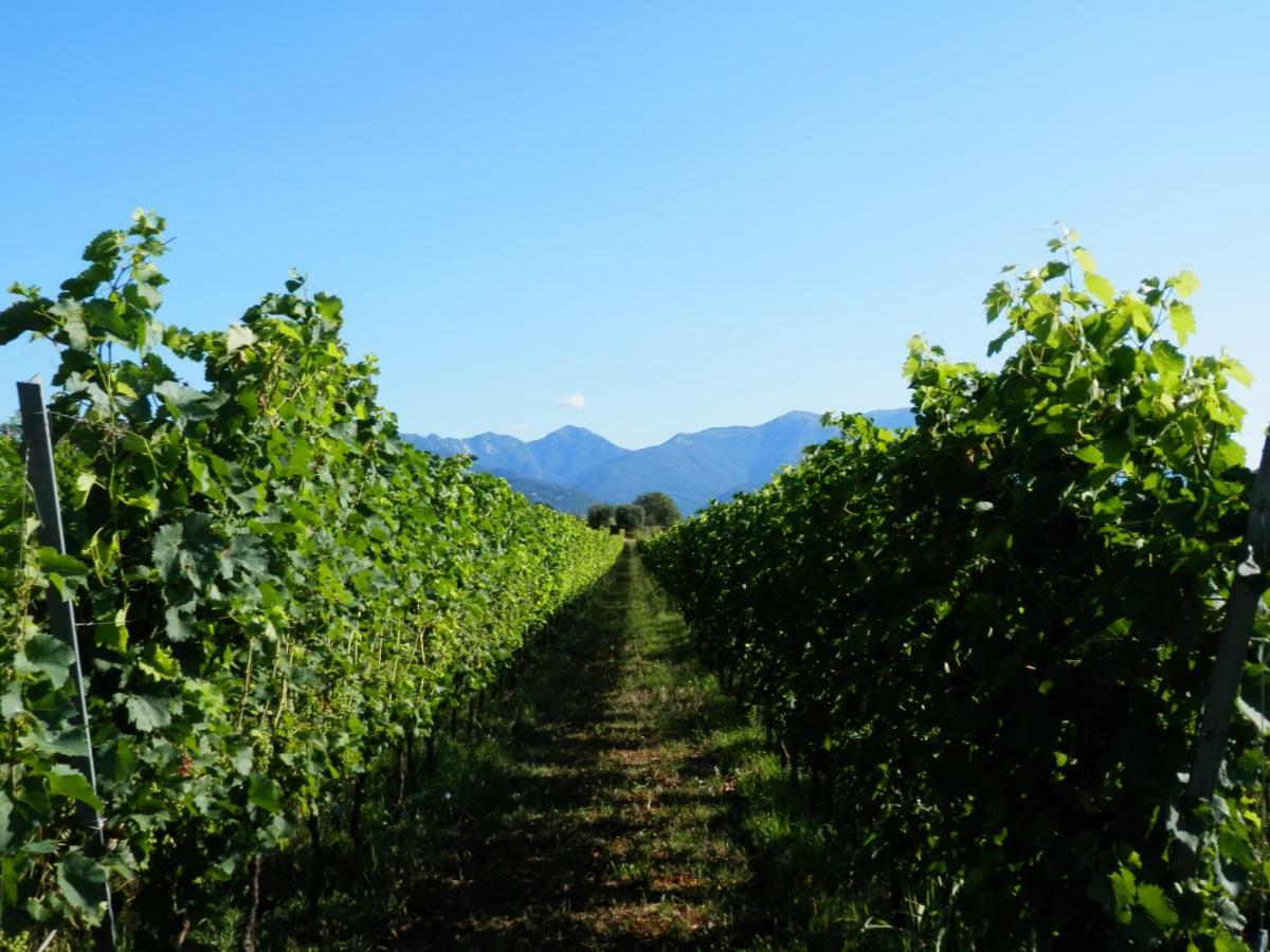 Agriturismo Fioralba Polpenazze del Garda Ngoại thất bức ảnh