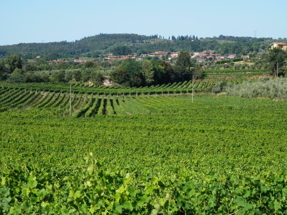 Agriturismo Fioralba Polpenazze del Garda Ngoại thất bức ảnh