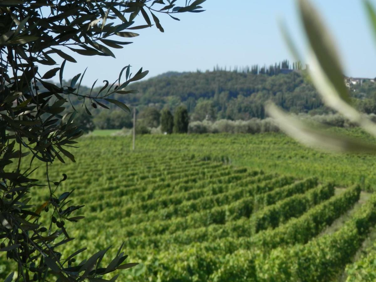 Agriturismo Fioralba Polpenazze del Garda Ngoại thất bức ảnh
