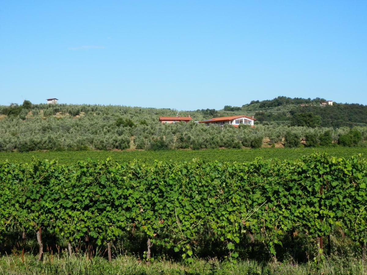 Agriturismo Fioralba Polpenazze del Garda Ngoại thất bức ảnh